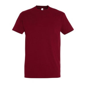 Tee-Shirt Homme différentes couleurs