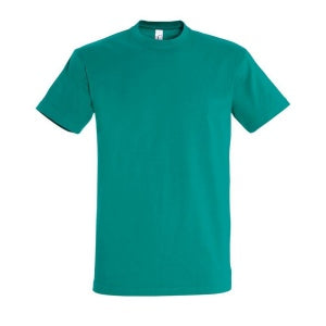 Tee-Shirt Homme différentes couleurs